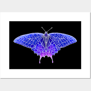 Galaxy Butterfly Posters and Art